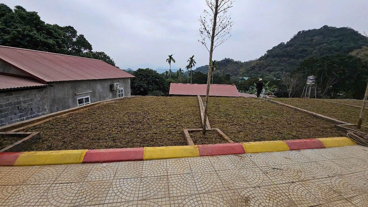 Hình 3