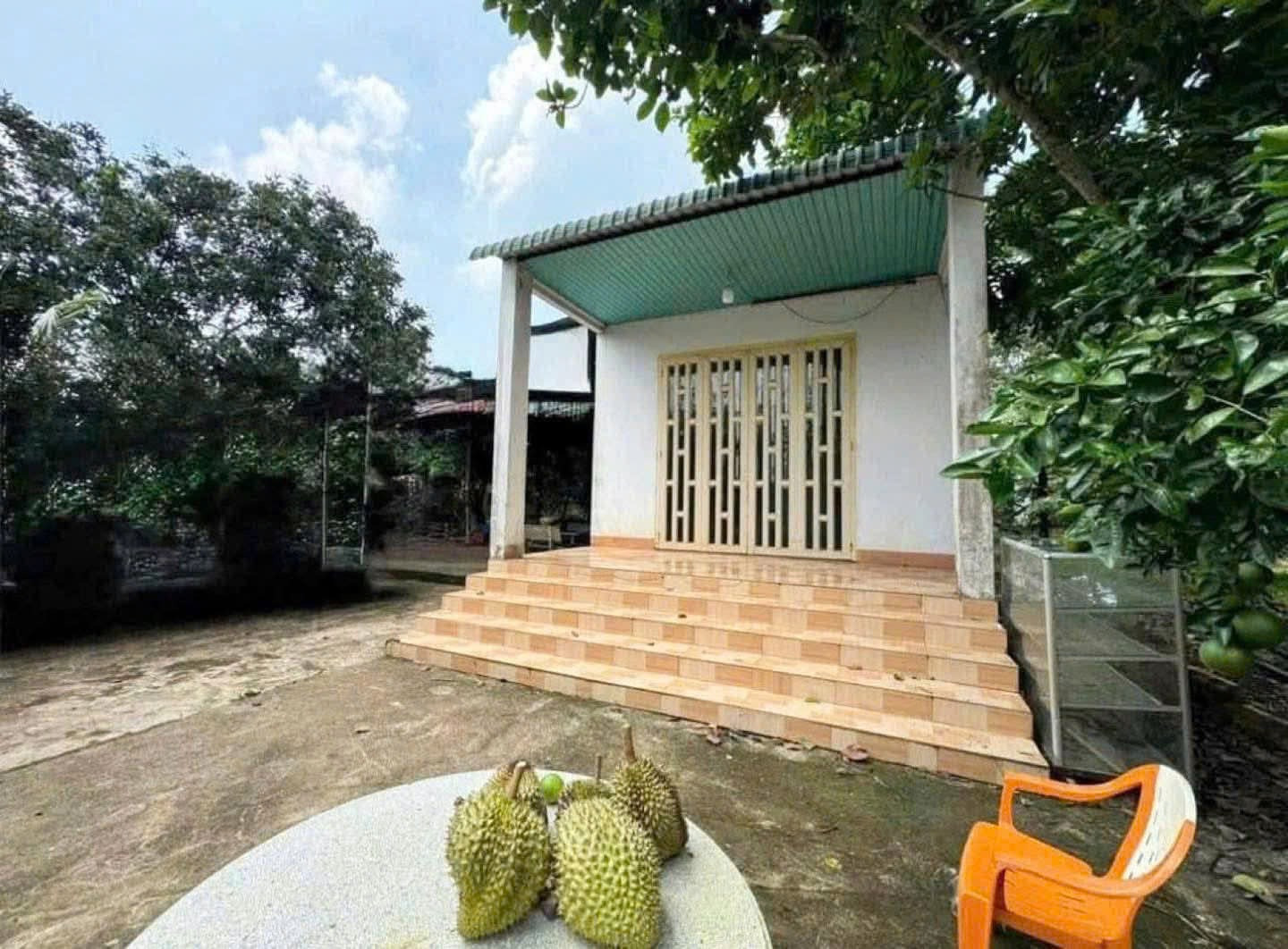 Vỡ nợ bank phát mãi 1500m2 mặt tiền nhựa thông khu công nghiệp bàu bàng, trên đất có đủ loại trái cây