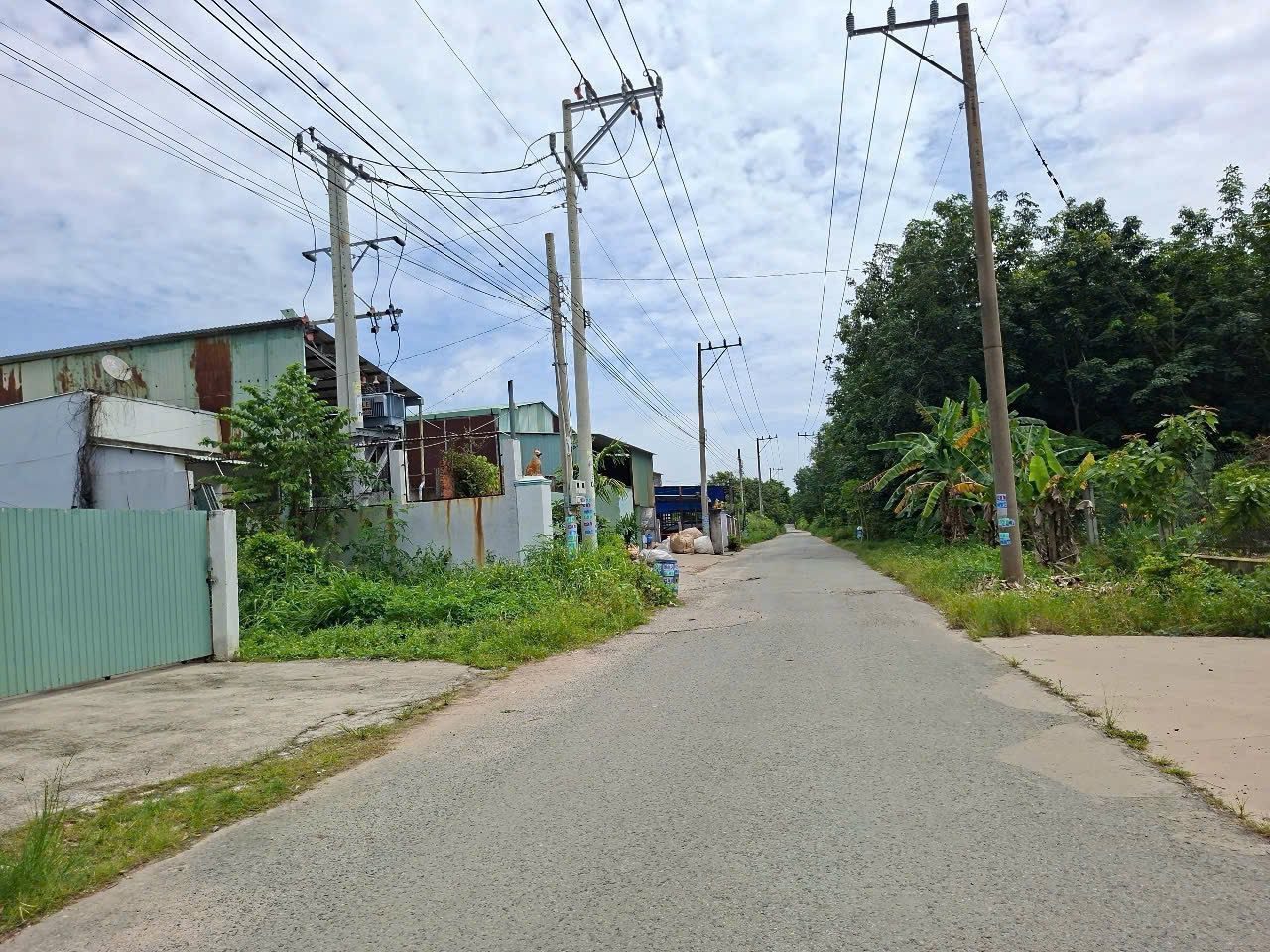 Chính chủ cần chuyển nhượng lô đất diện tích lớn tại Lai Hưng, Bàu Bàng, Bình Dương