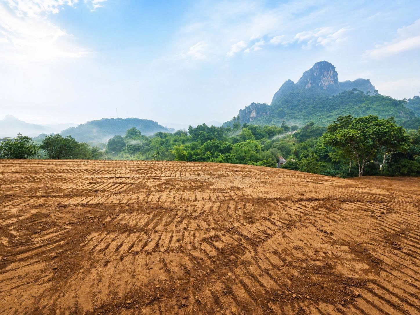 Đất nghỉ dưỡng thị trấn Lương Sơn mà giá siêu hấp dân cho nhà đầu tư.