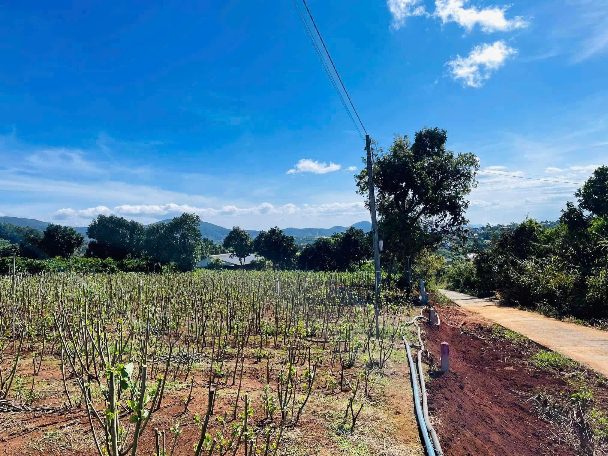 Đất ở thị trấn Nam Ban chỉ 2km ra tới chợ. Ngang đến 15.5m mặt tiền đường. Giá 1.050 tỷ