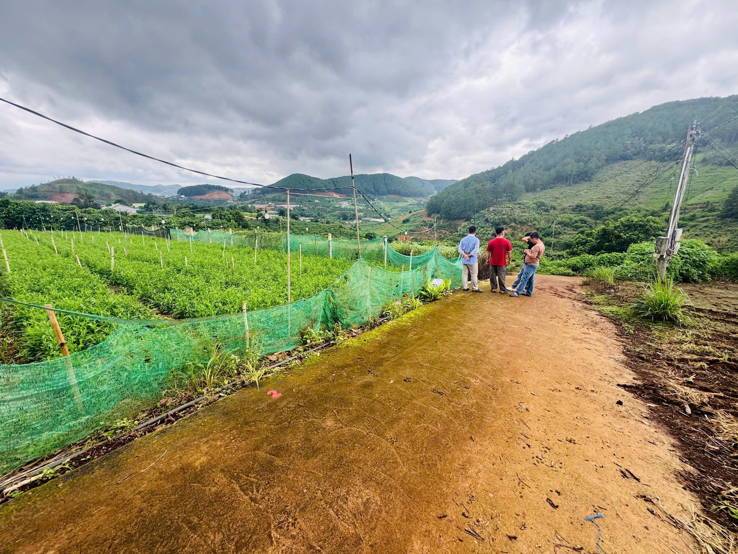 Đất ở thị trấn Nam Ban. View Đồi Thông và Thung Lũng. DT 200m². Sẵn thổ cư 100m². Giá 550 triệu. Trọn sổ