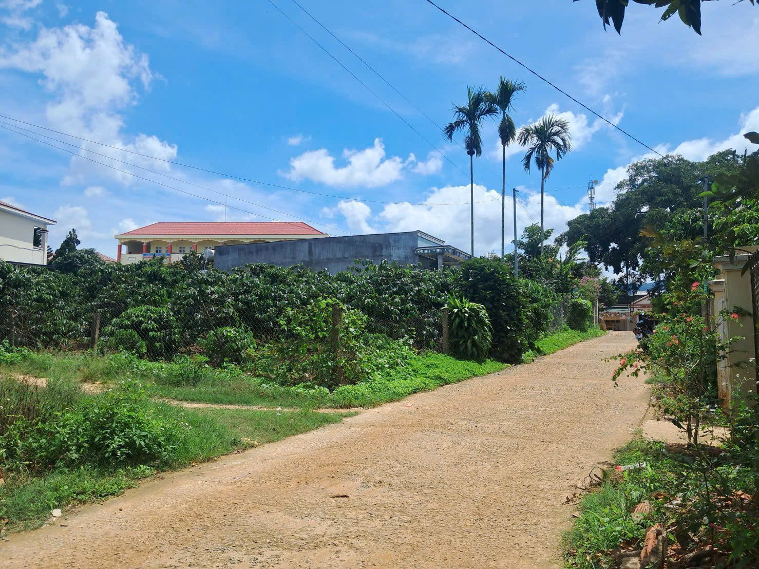 BÁN LÔ ĐẤT NGAY CHỢ THĂNG LONG NAM BAN chỉ 400m. Giá 1 tỷ/ 1 lô