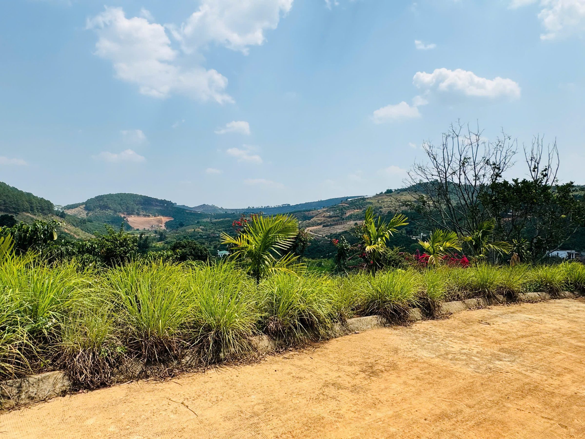 Đất ở thị trấn Nam Ban ven Đà Lạt view đồi núi. Giá 560 triệu/ 280m2. ngang 7m mặt tiền