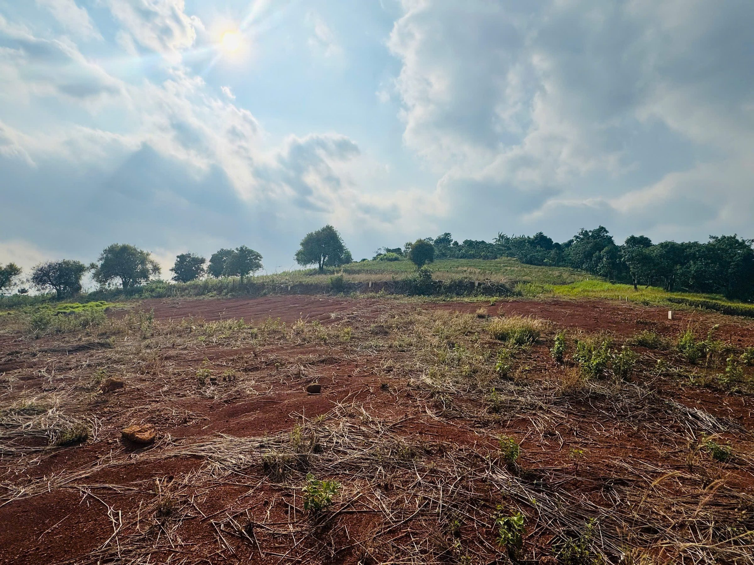 Đất ở Thị trấn Nam Ban chỉ 800m ra đường nhựa lớn. Đường 1 Xẹt. View Đẹp. GIá 1.21 Tỷ/484m2