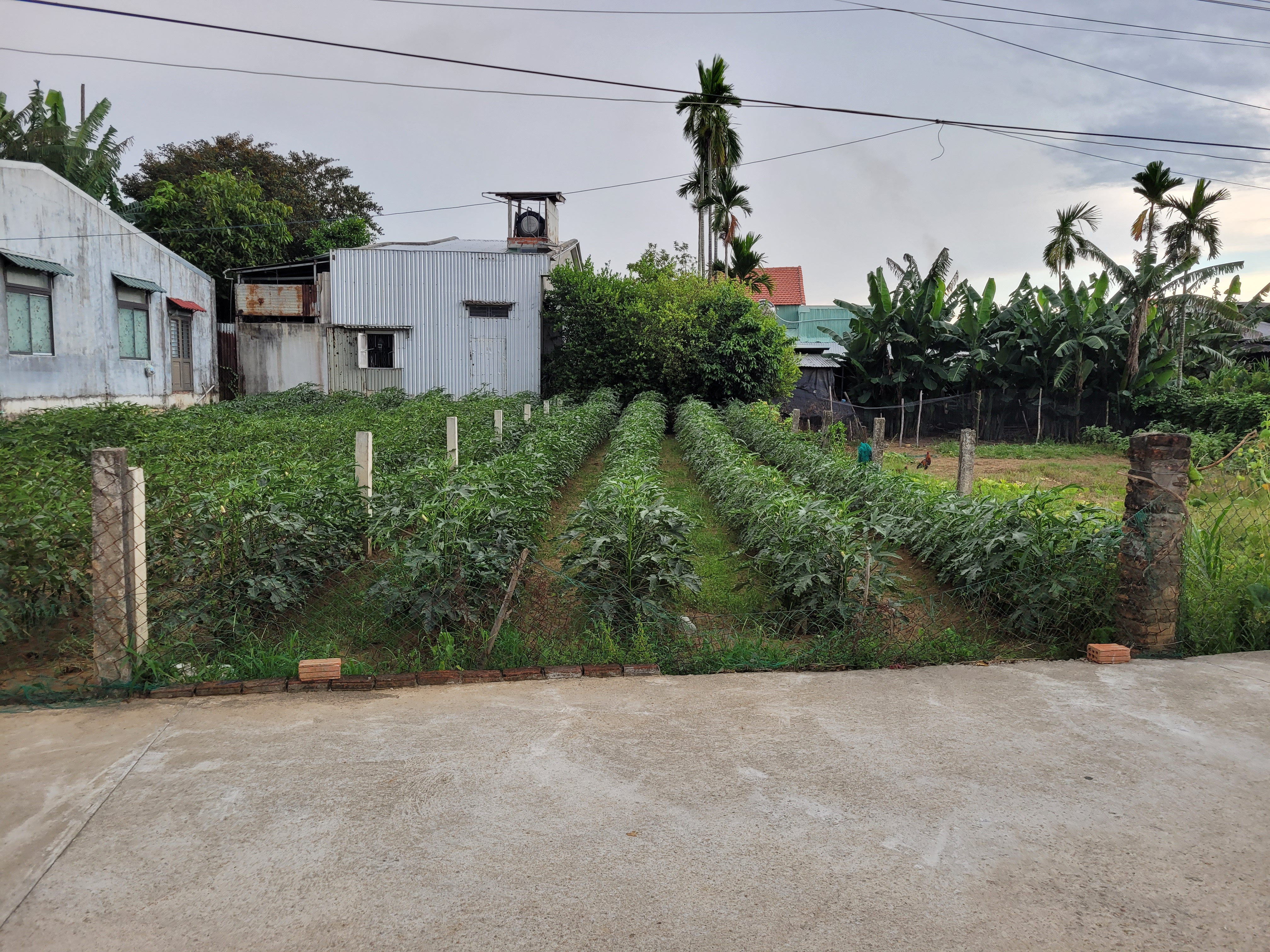 Chính chủ bán lô đất 120 m2 full đất ở, cách đường Hùng Vương 350m (sau lưng UB xã Nam Phước mới)