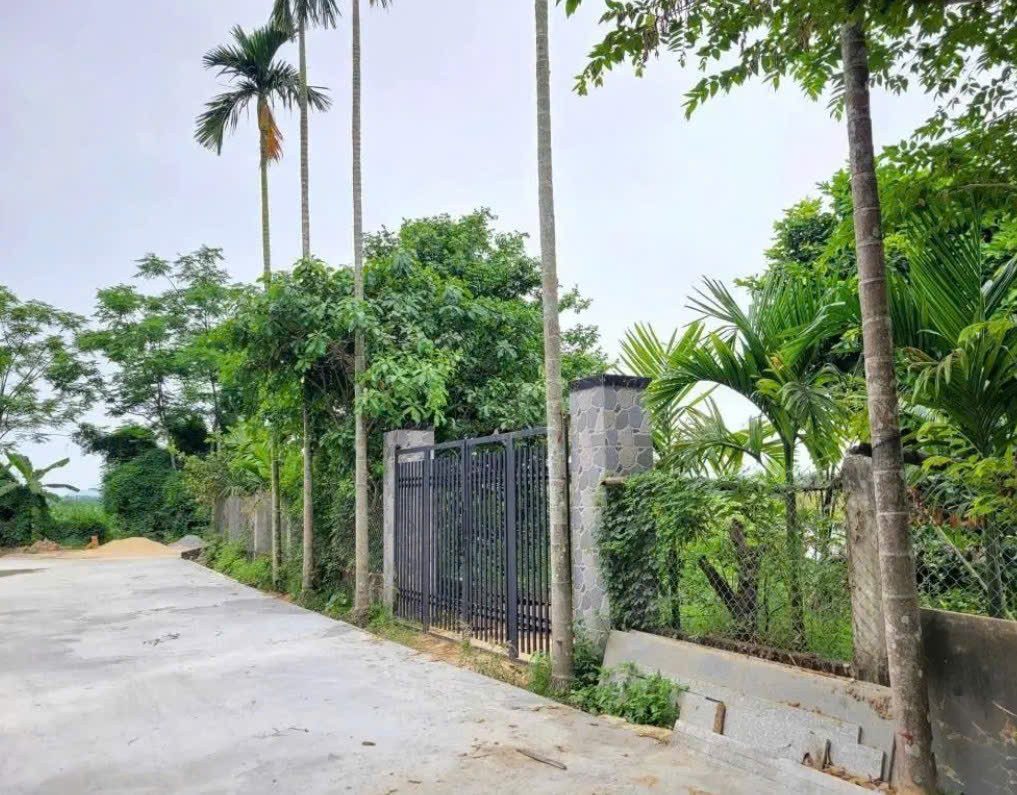 📌📌📌LÀM VIỆC TRỰC TIẾP GIÁ TỐT !!! Bán đất khu dân cư Xuyên Đông, Duy Xuyên