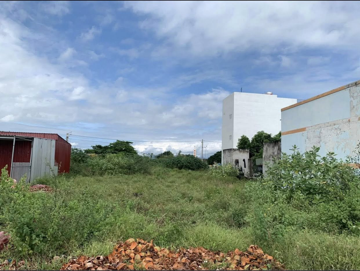 BÁN LÔ ĐẤT 100M² THỔ CƯ – PHÚ LONG, HÀM THẮNG