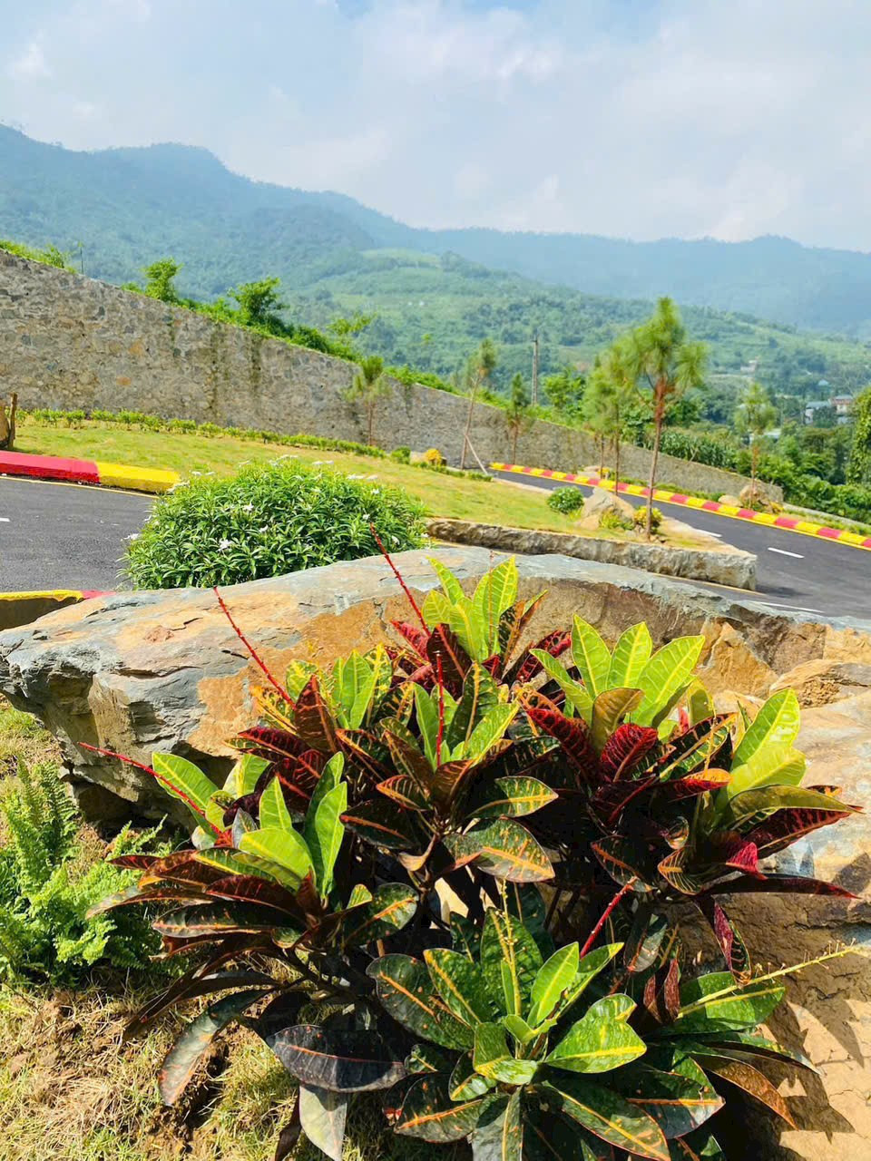 🌿 VIEW “ĐÀ  LẠT 
GIĂ HẤP DẪN