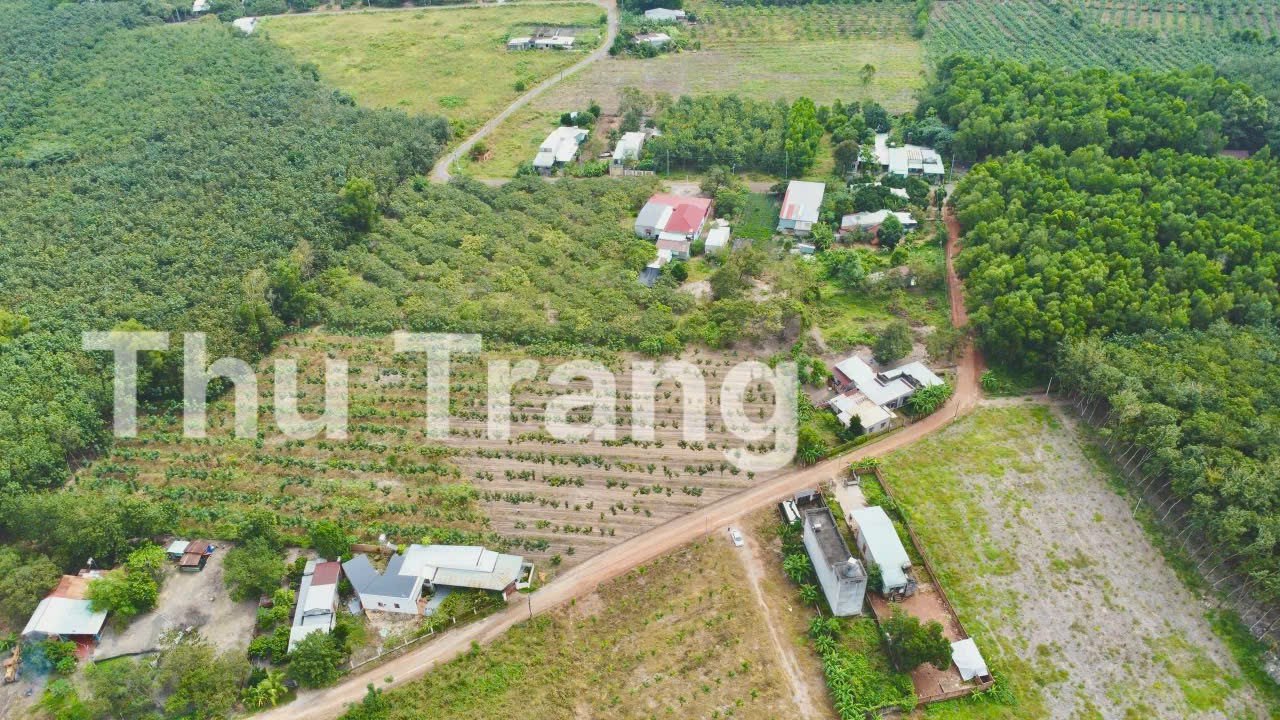 1200m2 sẵn 100m thổ cư,đường 19m. sổ sẵn