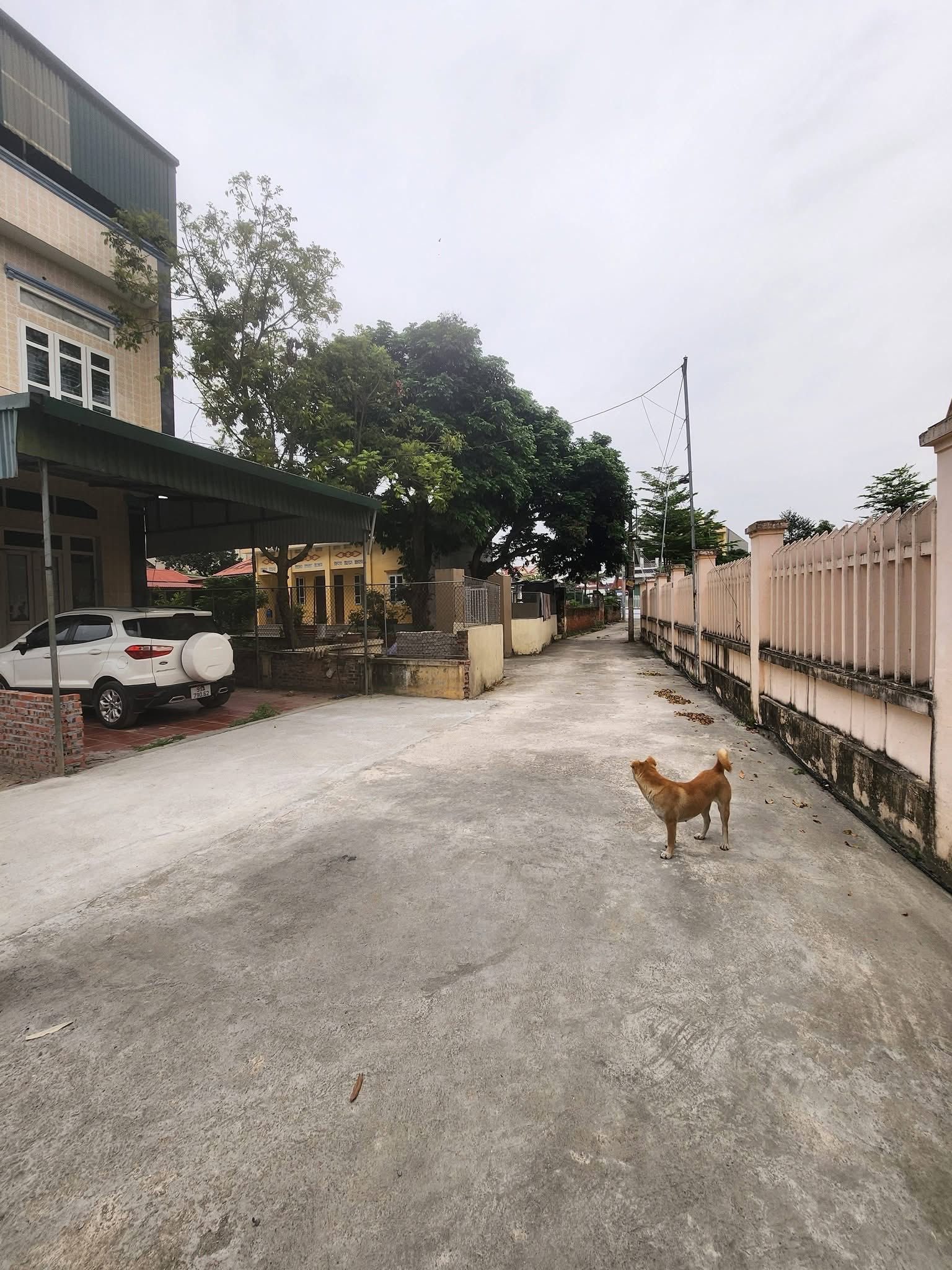 🔥 CHÍNH CHỦ BÁN 2 LÔ ĐẤT – CÓ NHÀ SẴN – Đạo Sử – Thị trấn Thứa - Bắc Ninh