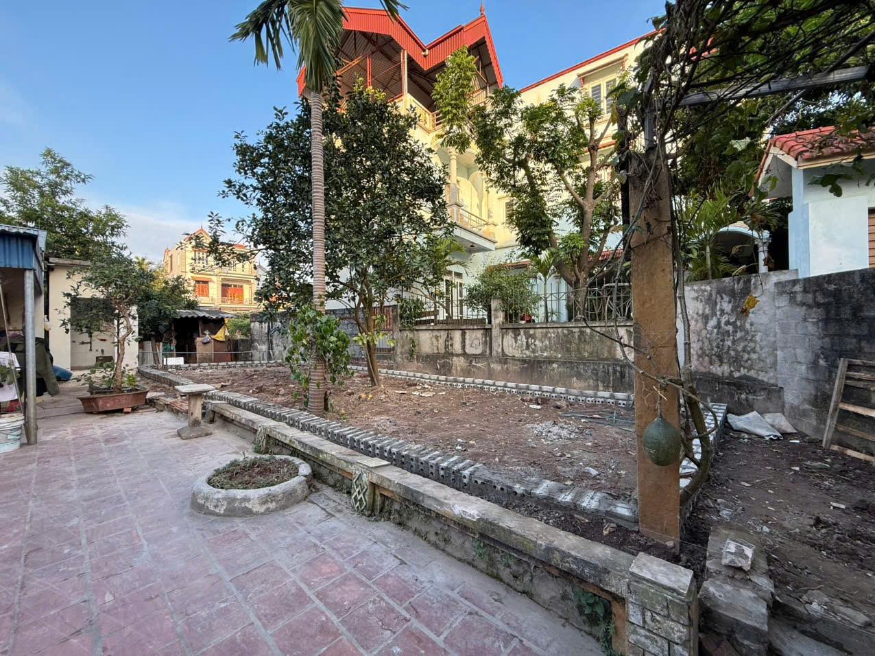 Dương tảo thường Tín Hà Nội