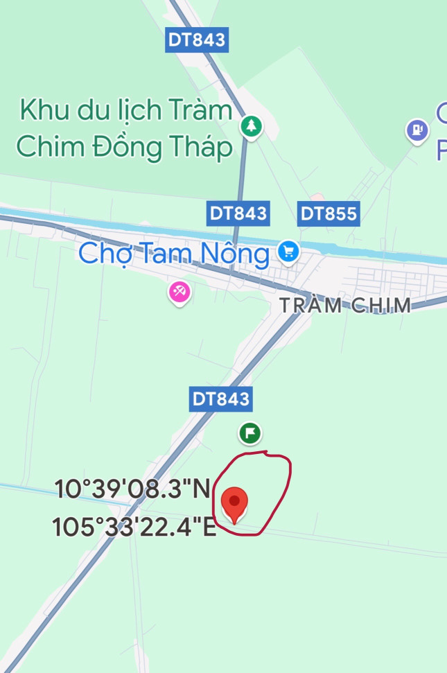 Bán đất trồng cây lâu năm 22,274.4 mét vuông (mặt tiền lộ 64m, cách Chợ Tràm Chim 3.6km)