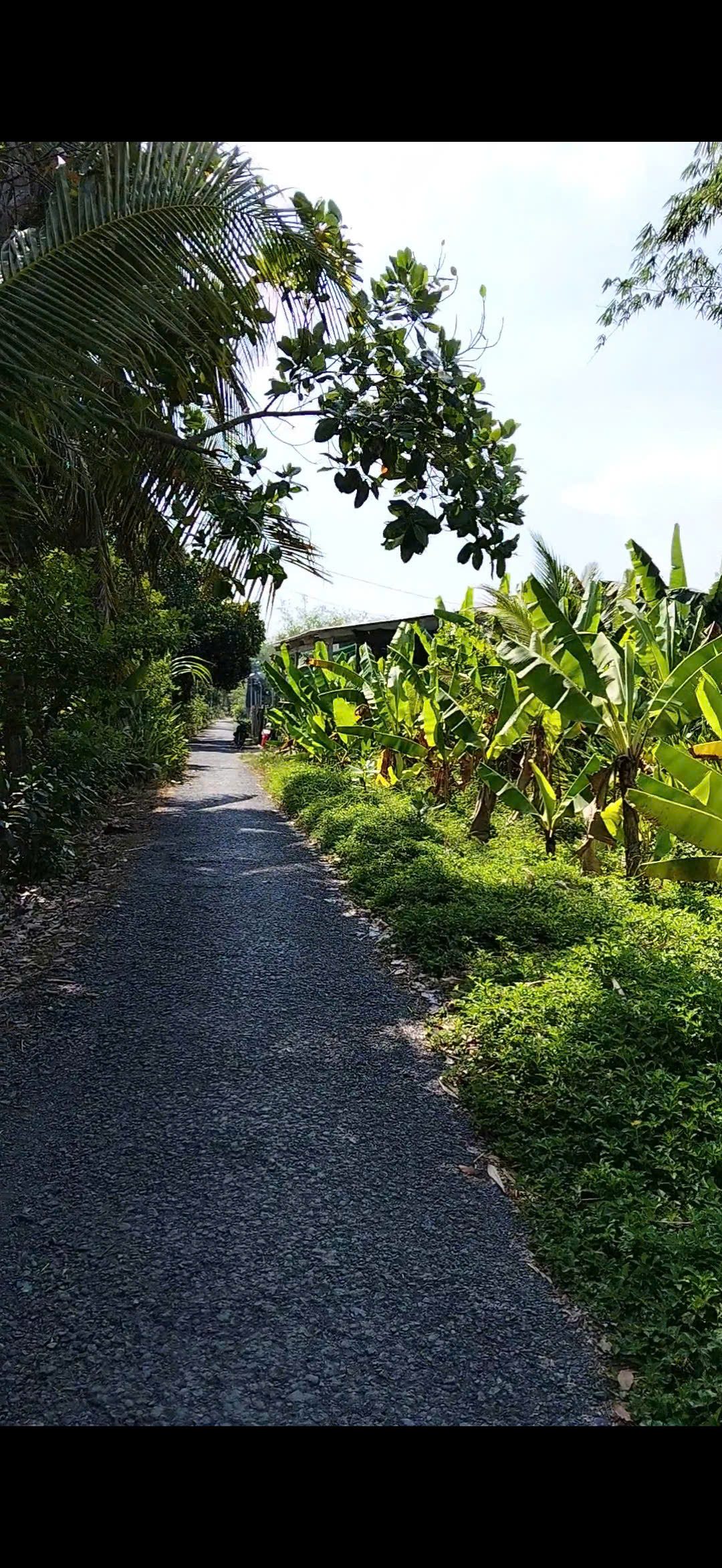 🔥 CƠ HỘI HIẾM CÓ: LÔ ĐẤT 229M2 2 MẶT TIỀN - ĐƯỜNG NHỰA - VIEW SÔNG - FULL THỔ CƯ - PHONG THỦY ĐẠI CÁT 🔥