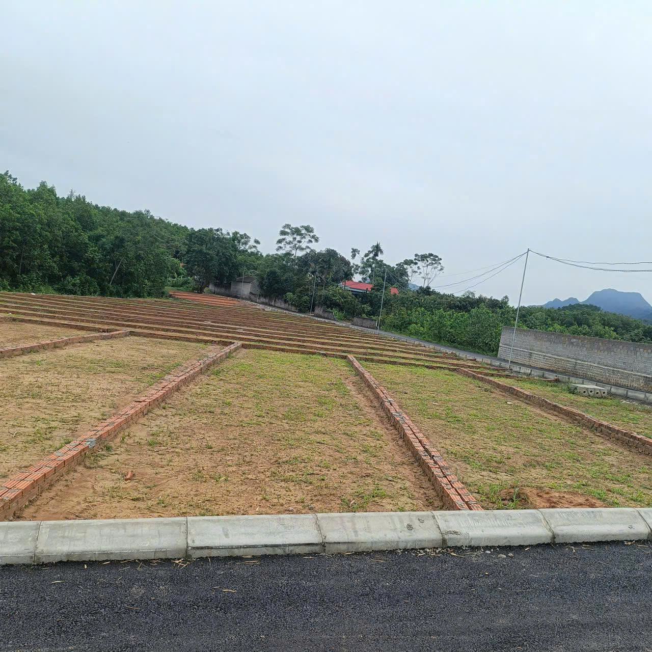 Bán đất An Bình Lạc Thủy full thổ cư, sổ đỏ, giá 195 triệu