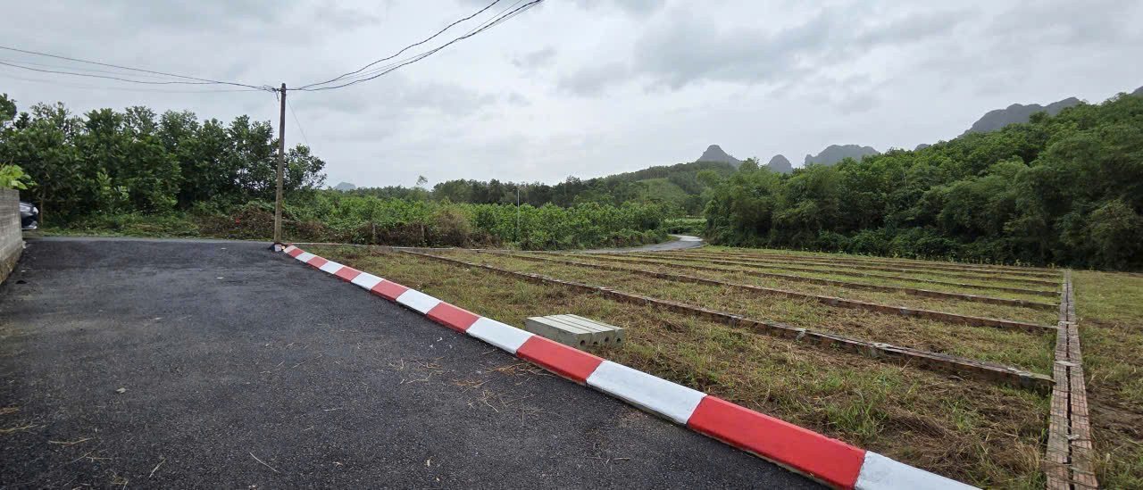 Bán Đất 87,5m² thổ cư 70m² giá 235 triệu tại Xã An Bình Huyện Lạc Thủy Hòa Bình