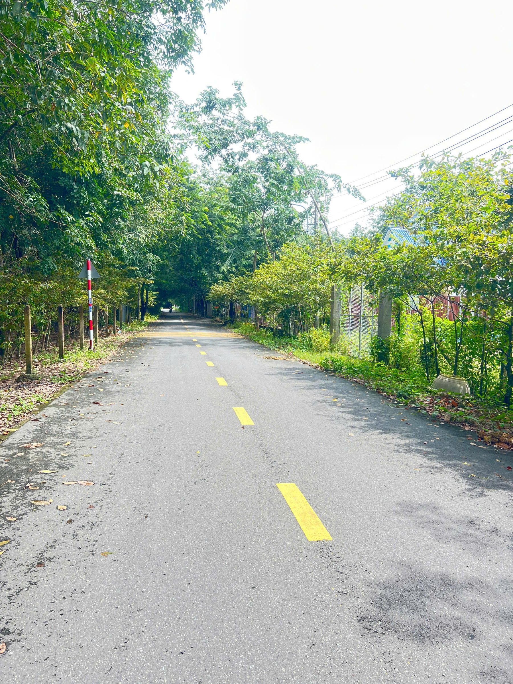 614m2 Đất An Điền , Bến Cát - Ngay Lộ 7A Đi Vào - Giá 3 tỷ 5