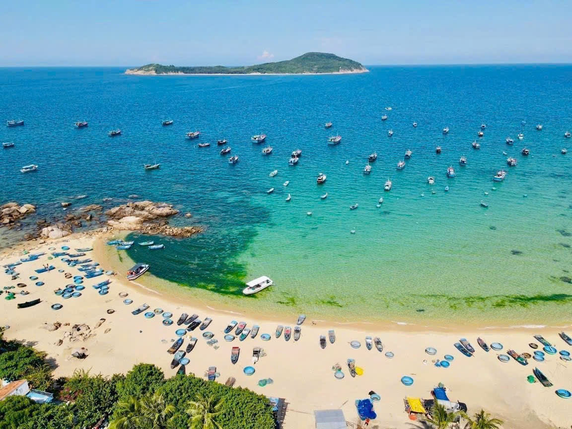 Đất bán cần