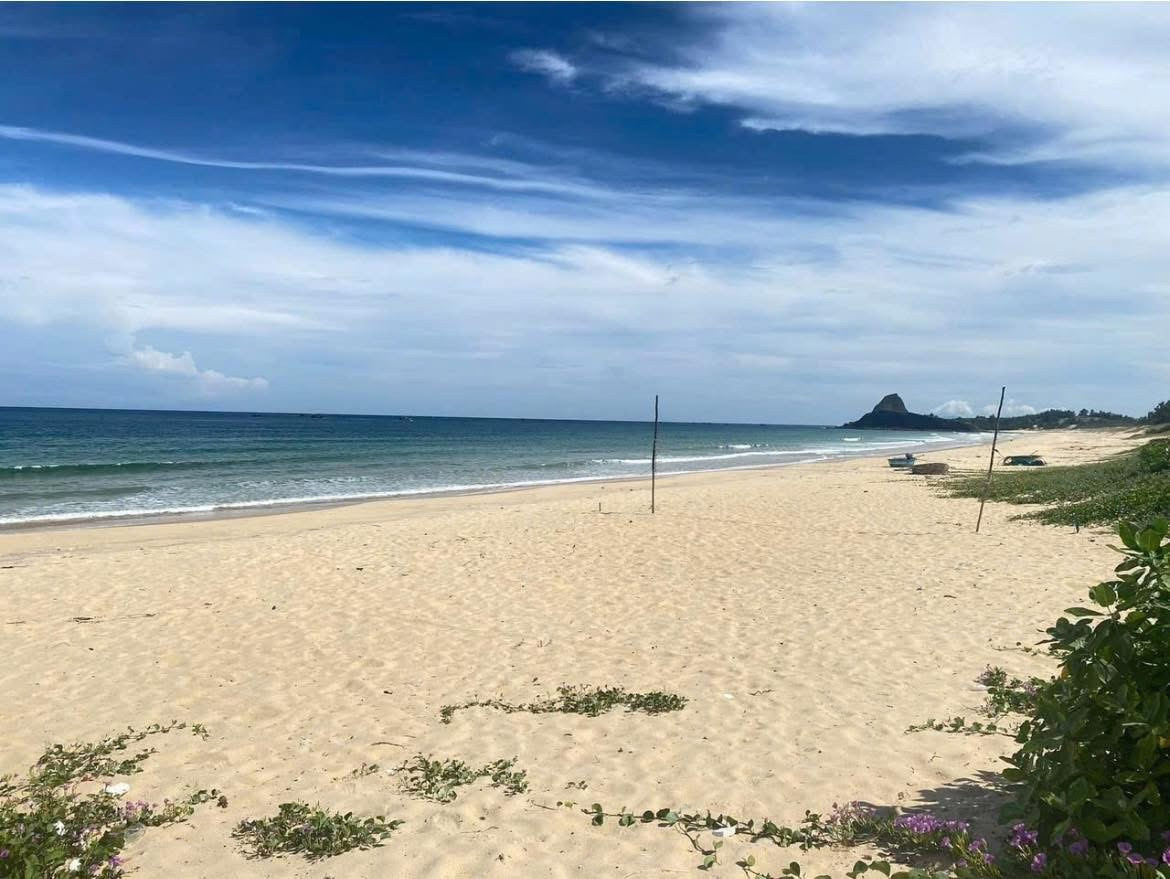 Đất biển bãi choi