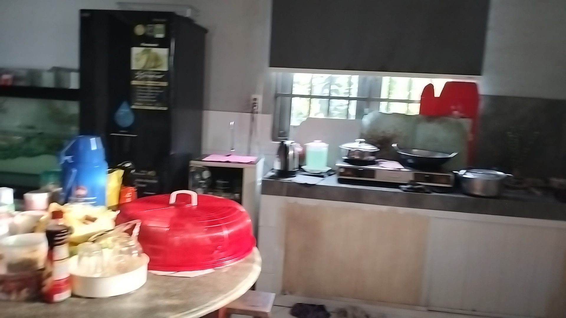 Nhà vườn view sông.  Kết hợp nghỉ dưỡng