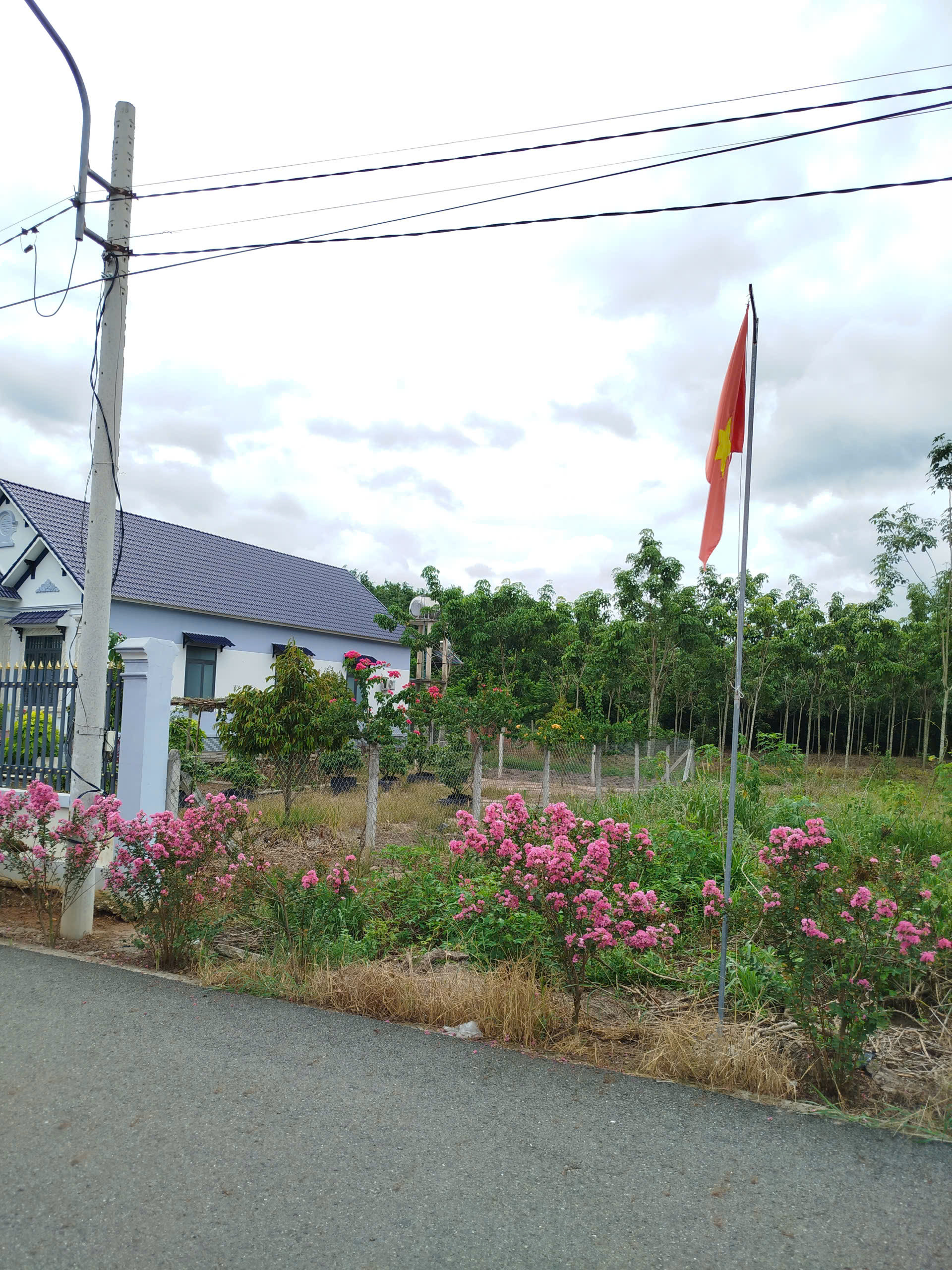 Bán đất thổ cư kế bên biệt thự, 277m2 sẵn 100mtc, có đèn, điện 3 pha