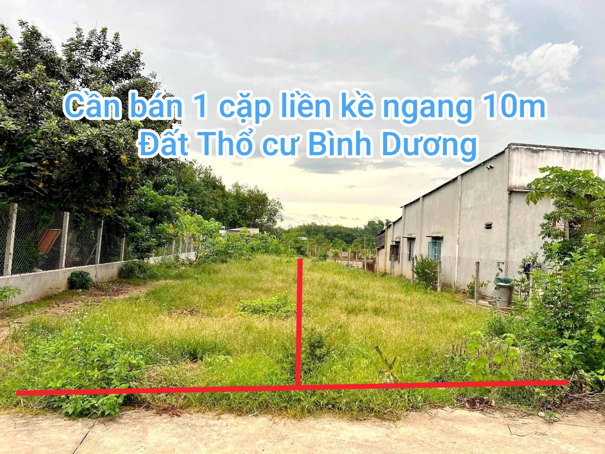 Bán 1 cặp đất thổ cư GIÁ CHỈ 695TR/488m2, cách chợ trường 150m, đường thông thoáng.