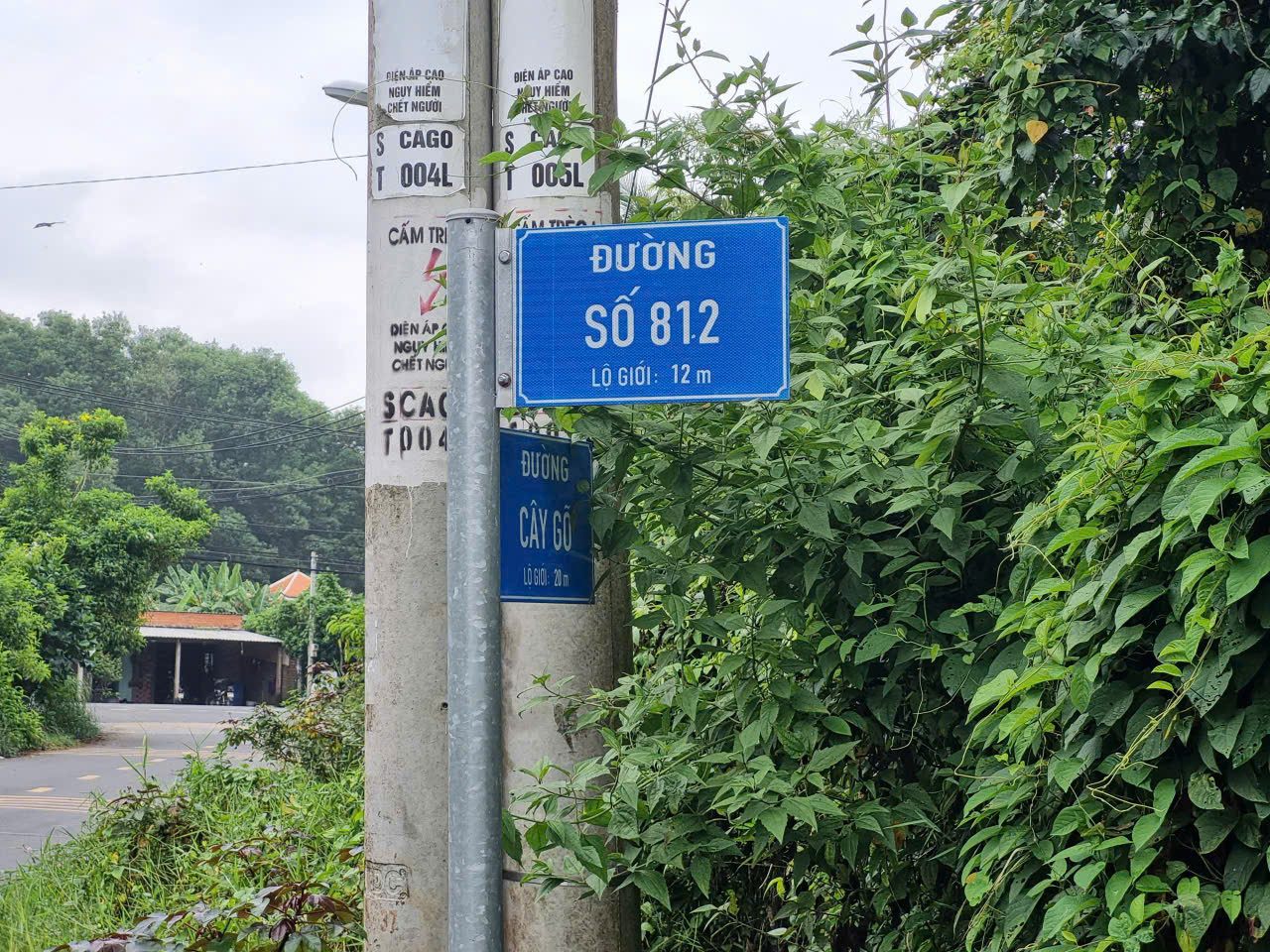(S767) Đất 1/ Cây Gõ thông ra Sông Sài Gòn, xã An Phú, dt 564m2, thổ cư 190m2,  giá chỉ 2 tỷ 400
