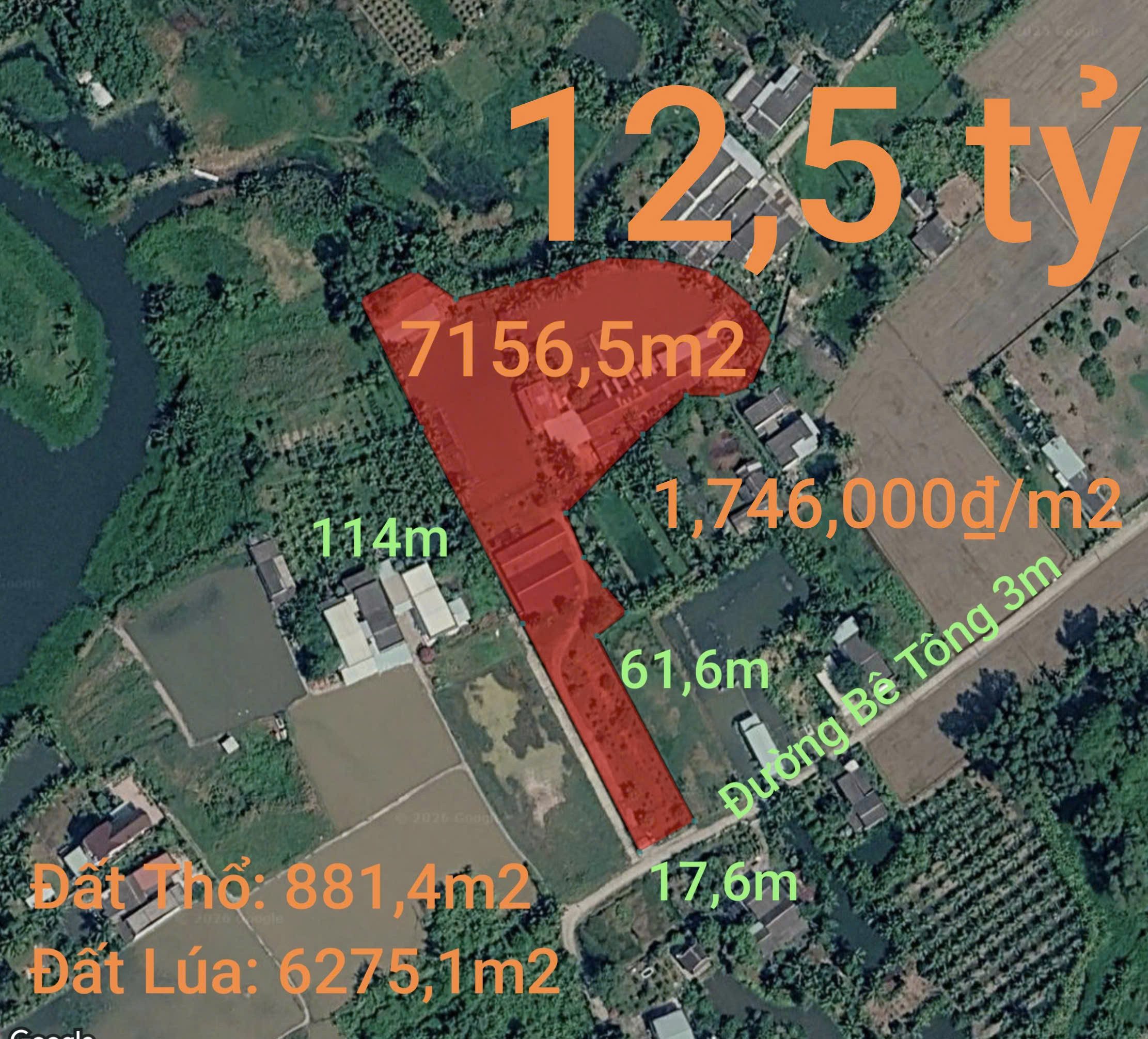Bán nhà vườn gần Khu Công Nghiệp Ăn Nhựt Tân giá 12,5 tỷ