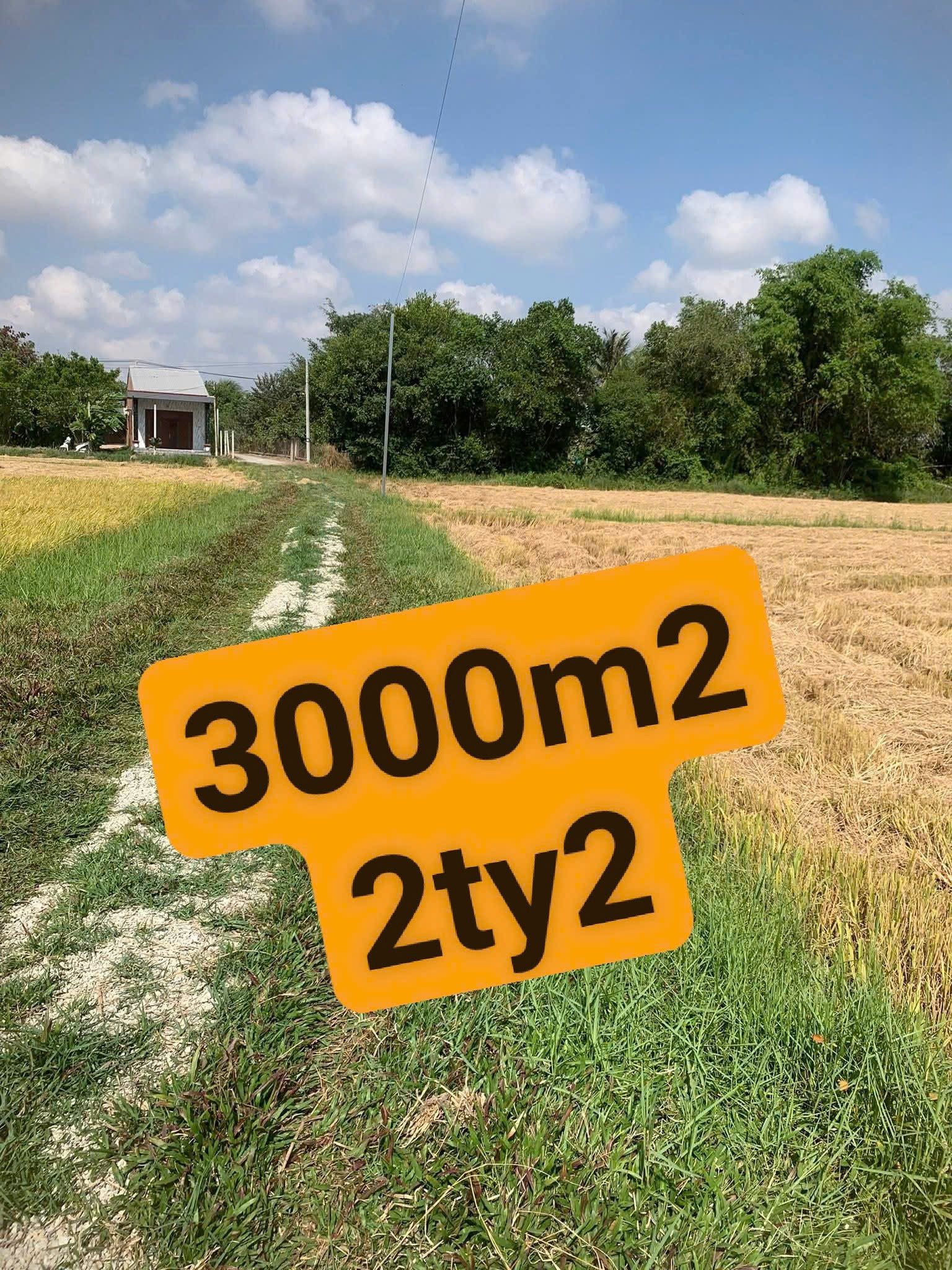 Bán đất 1723.2m² có sẵn 1700m² thổ cư ngang 62m giá 2.2 tỷ tại Xã An Ninh