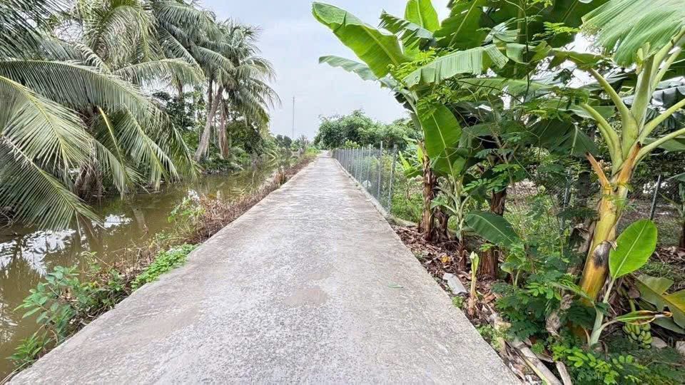 Bán đất 77m² ngang 5m . đường rộng em . giá 580 triệu Xã An Quang(Quang Hưng). liên hệ 0362558882
