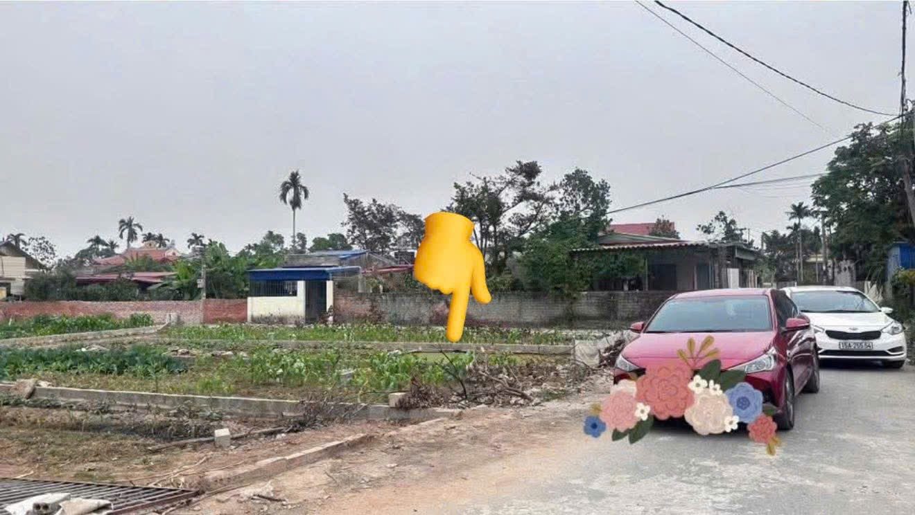 Bán đất 69m² ngang 4,5m. đường thôn 5,5m giá 990 triệu Xã An Quang( Quang Hưng). liên hệ 0362558882