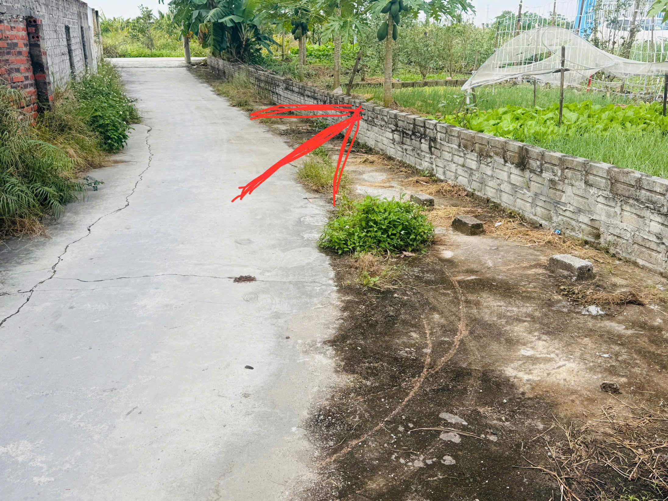 03/2026.Bán đất 71m² ngang 5,8m giá 740 triệu Xã An Quang. liên hệ 0362558882