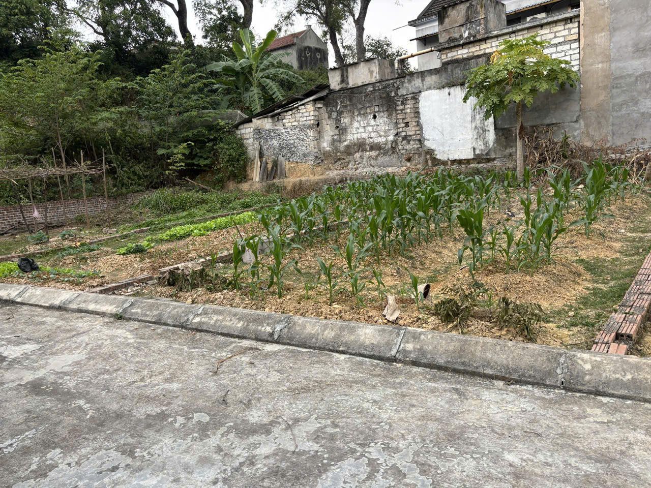 Bán 60M2 Đất đẹp An Sơn, Thủy Nguyên. Mặt ngõ oto, Giá cực rẻ chỉ 470 Triệu