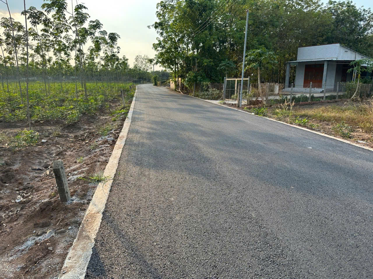 Cần tiền bán gấp đất H. Phú Giáo, Bình Dương (TP. HCM), 1000m2, 100m2 thổ cư, 650tr