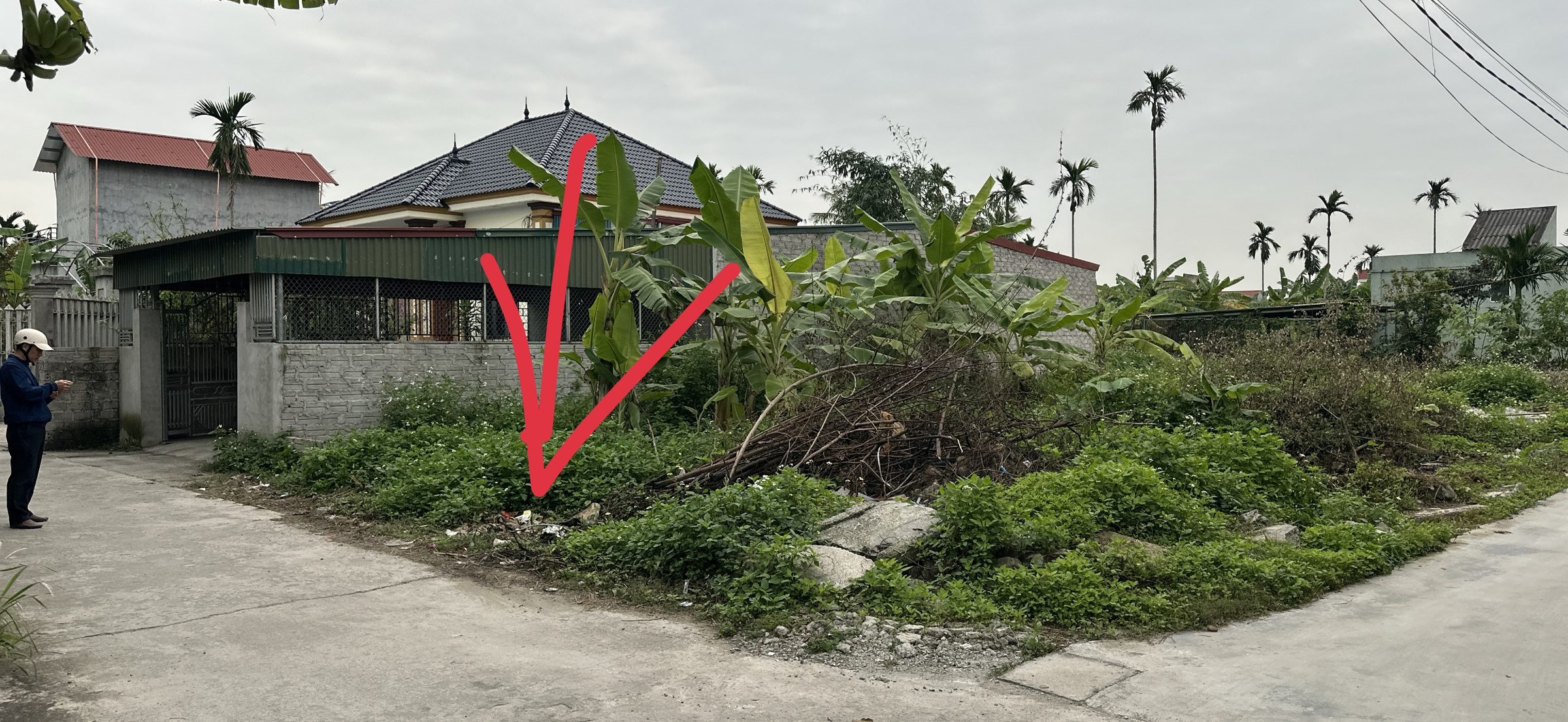 🔥 BÁN ĐẤT GIÁ RẺ – AN THANH, TỨ KỲ – CHỈ 690 TRIỆU 🔥