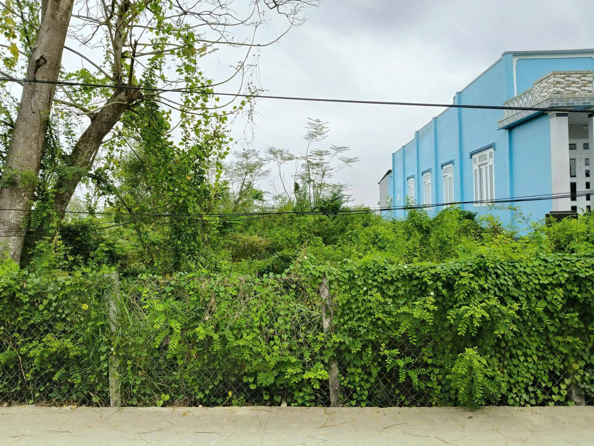 Bán đất 512.7m² có sẵn 435m² thổ cư ngang 16,8 x 30m giá 6.7 tỷ tại Xã An Thới Đông
