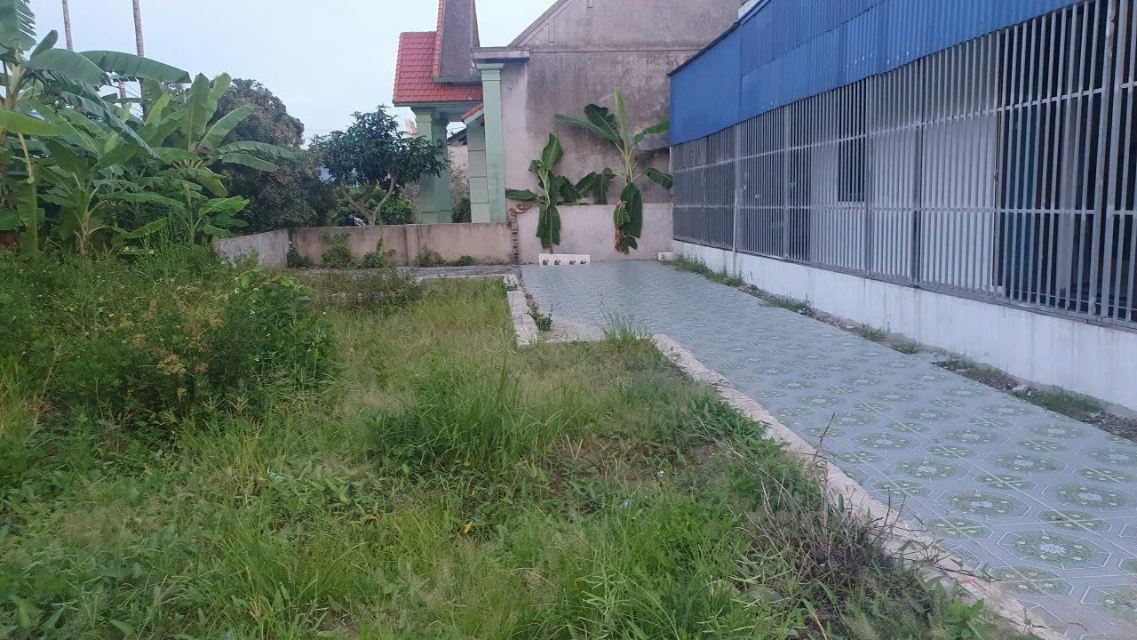 Bán đất 82,3m² ngang 4,3m . đường nhựa 7m. giá 1.48 tỷ Xã An Trường( Bát Trang). liên hệ 0362558882