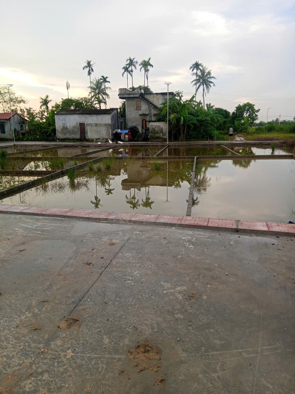 Bán đất 65m² ngang 5m giá 590 triệu Xã An Trườn( Bất Trang). liên hệ 0362558882