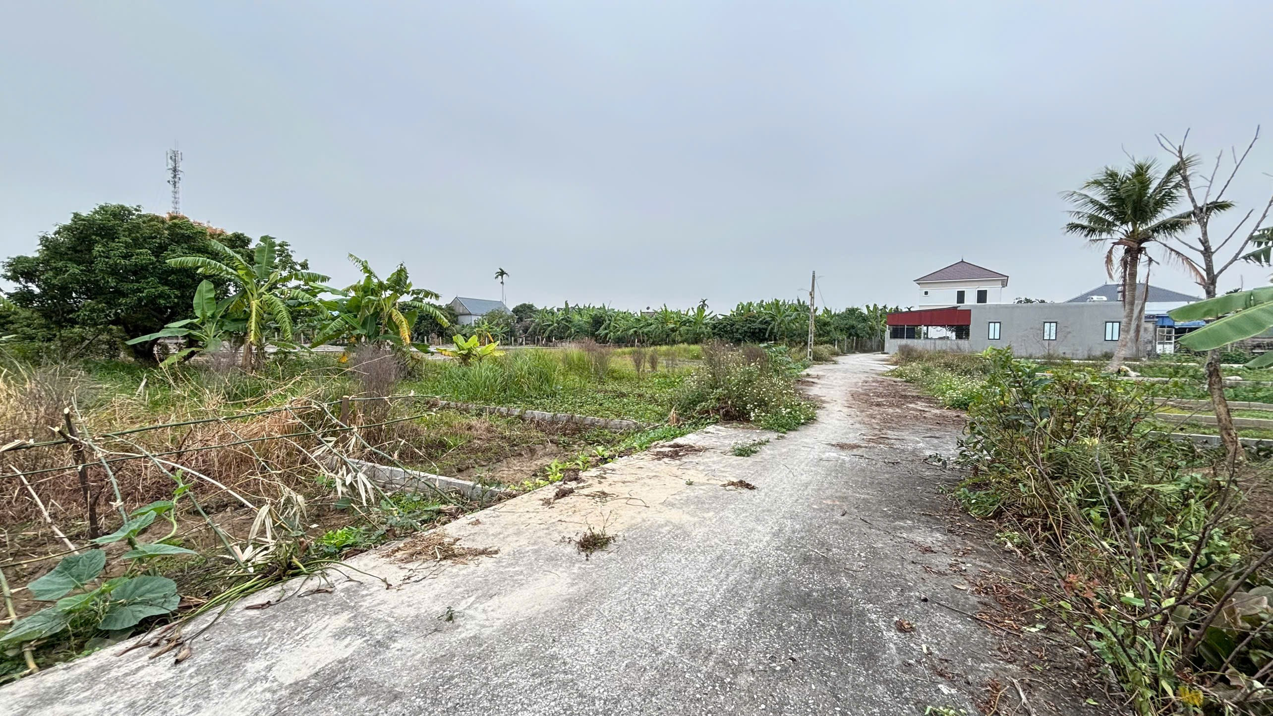 03/2026.Bán đất 68m² full thổ cư ngang 4,05m giá 610 triệu tại Xã An Trường. Bát Trang. liên hệ 0362558882
