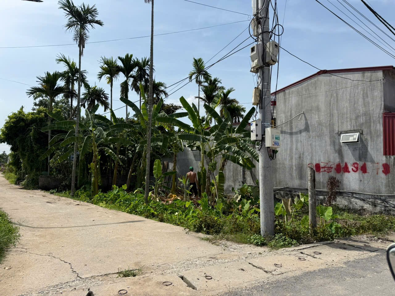 X Bán đất 100m² ngang 6,5m . đường nhựa 7m. giá 1.85 tỷ Xã An Trường(Bát Trang). liên hệ 0362558882