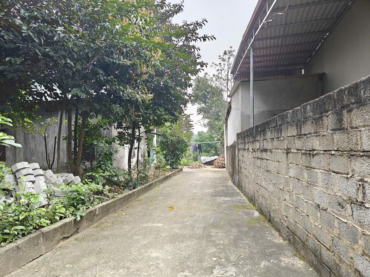 HÀNG MỚI ĐẤT DÂN CẮT BÁN - GIÁ CỰC RẺ CHỈ 1,5 tỷ BA VÌ, HÀ NỘI