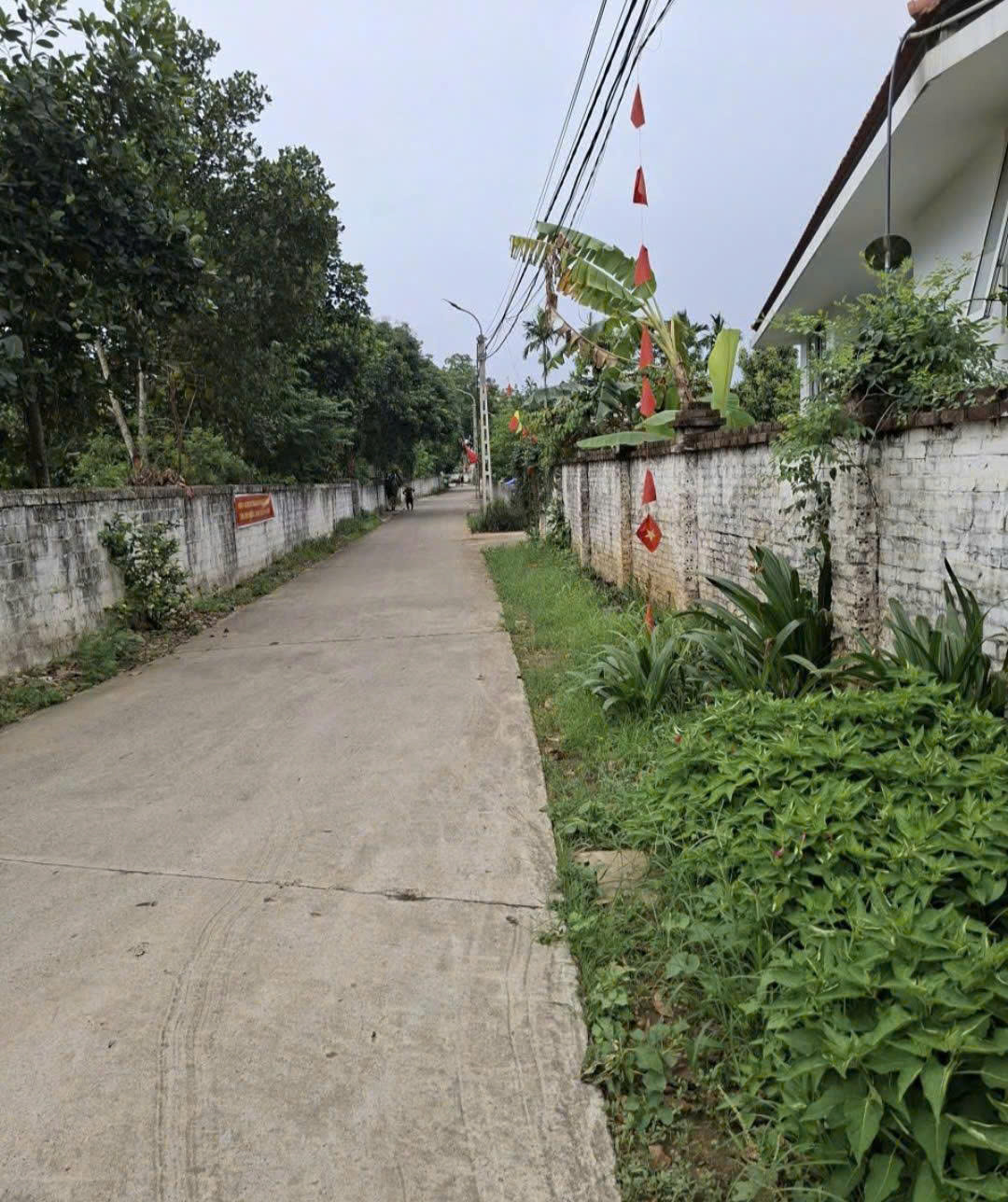 HÀNG F0 DÂN CẮT BÁN GIÁ CHỈ HƠN 2 TỶ