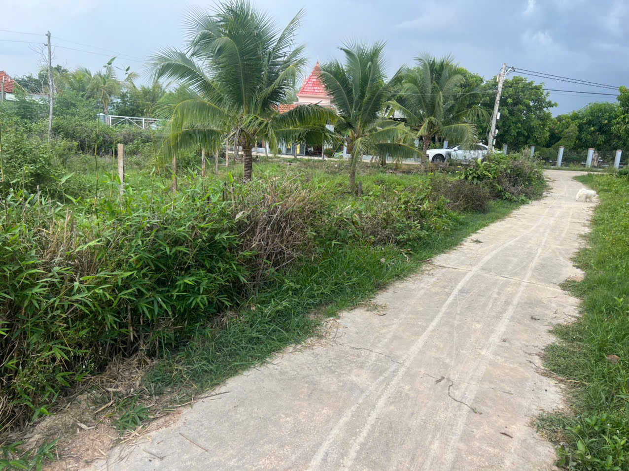 0938113403 Bán đất 278.6m² giá 580 triệu Xã Bắc Ninh Hòa GNH07
