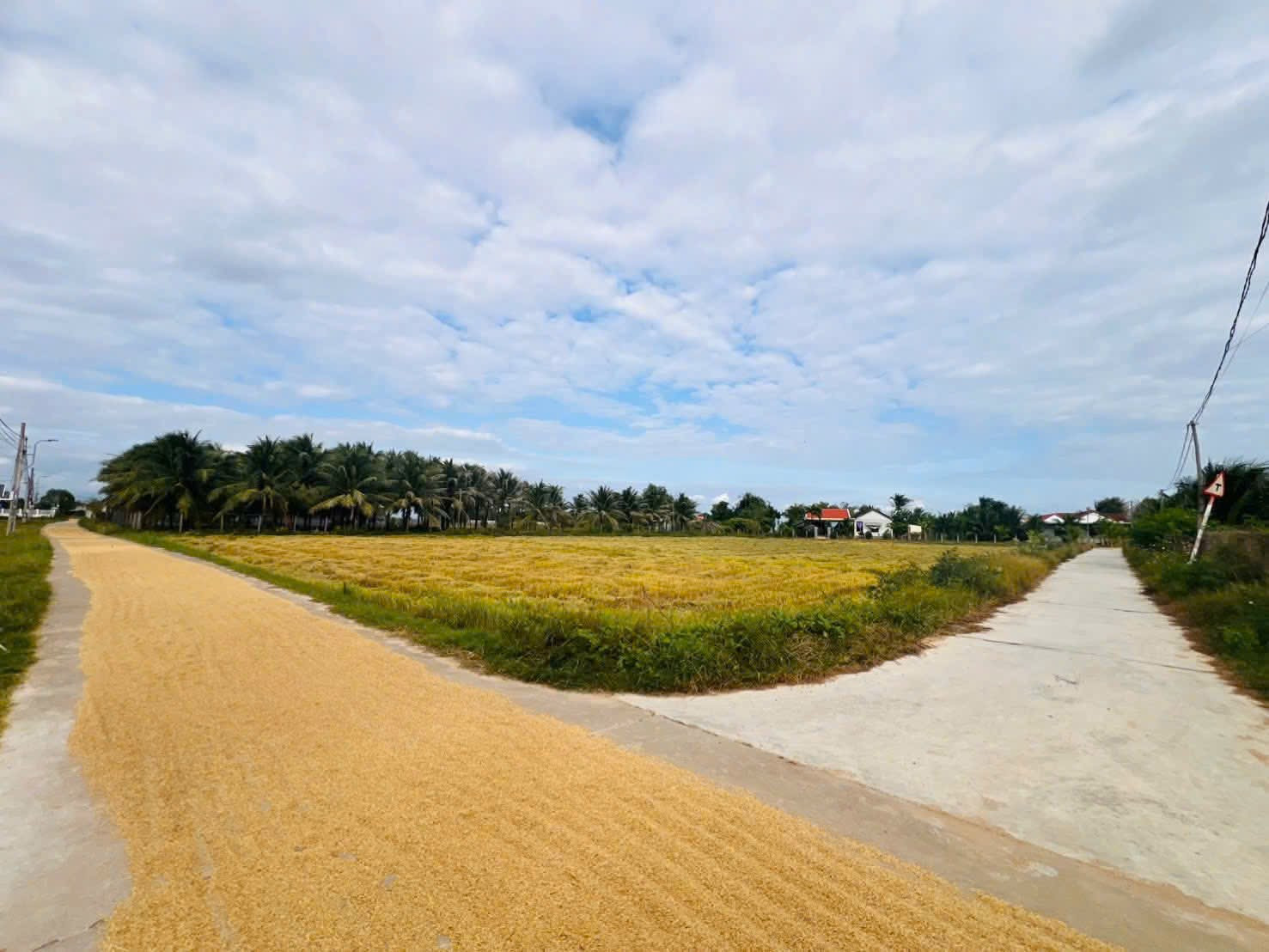 0938113403 Bán đất 117m² giá 639 triệu Xã Bắc Ninh Hòa Z271