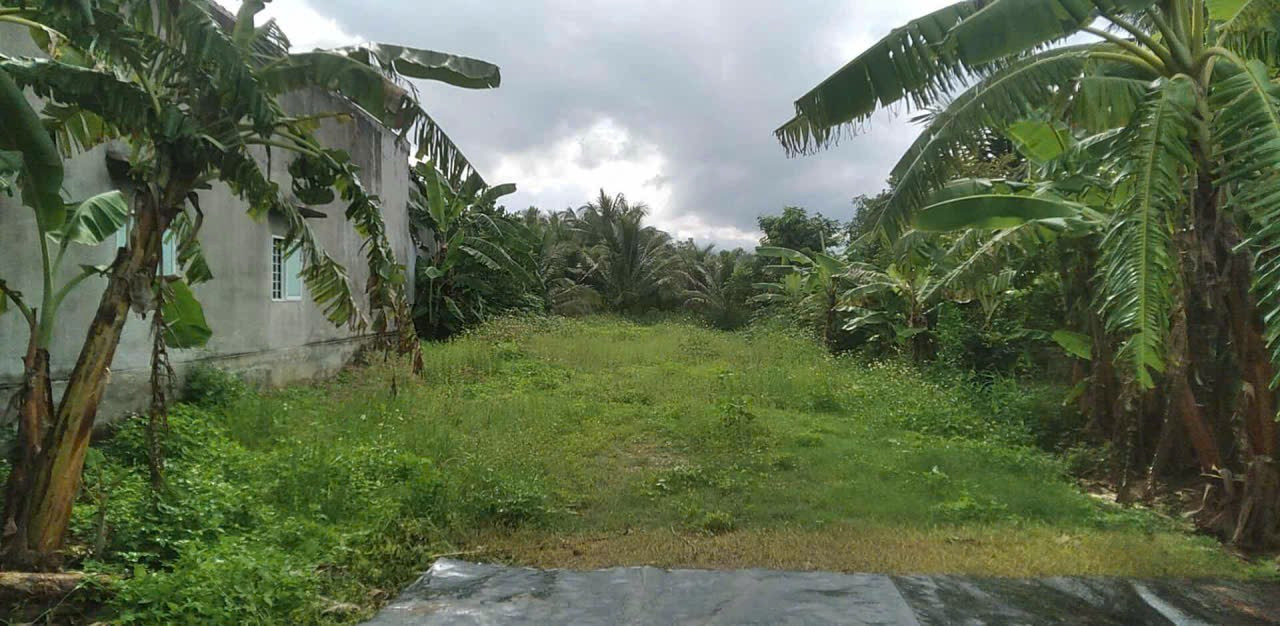 0938113403 Bán đất 536.5m² ngang 10m giá 3 tỷ tại Xã Bắc Ninh Hòa Z319