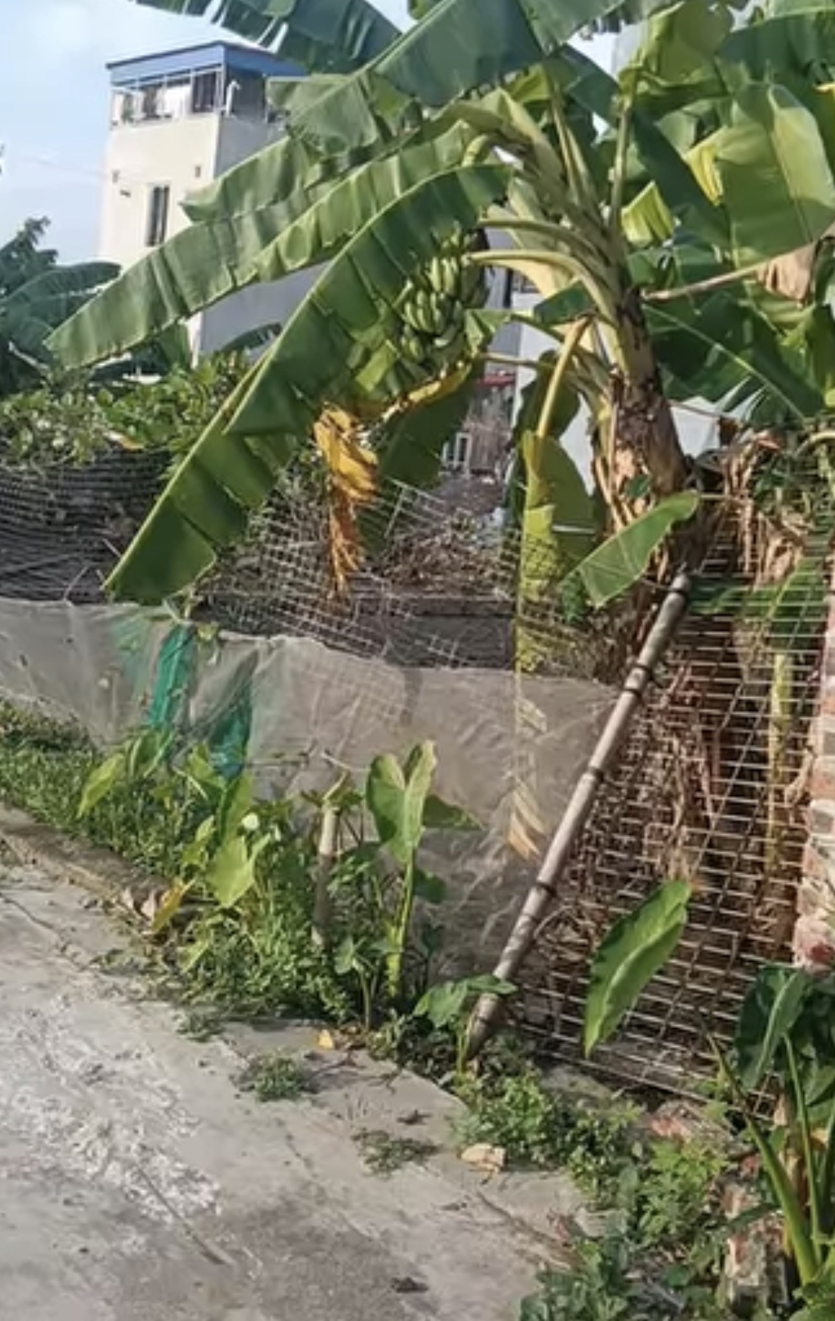 Bán đất 75m2 Đông Hà Bắc Sơn An Dương Hải Phòng