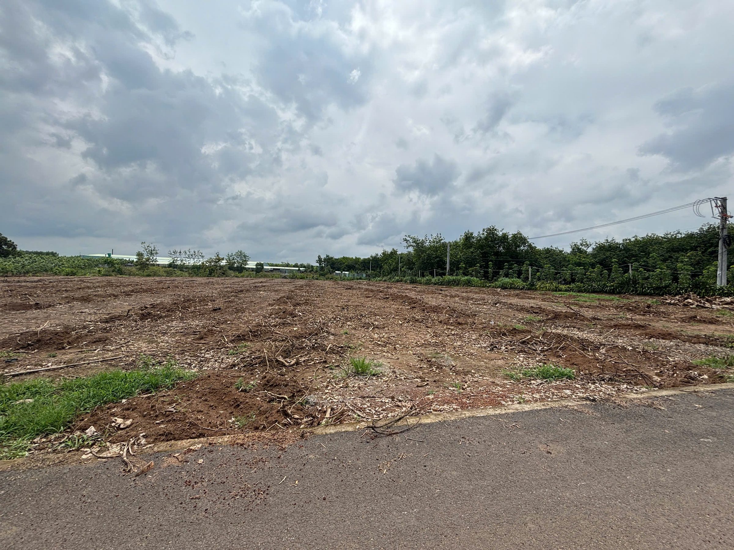 CHÍNH CHỦ GỬI BÁN 1500M² MẶT TIỀN ĐƯỜNG NHỰA LIÊN HUYỆN 32M – GẦN CHỢ, TRƯỜNG, UBND