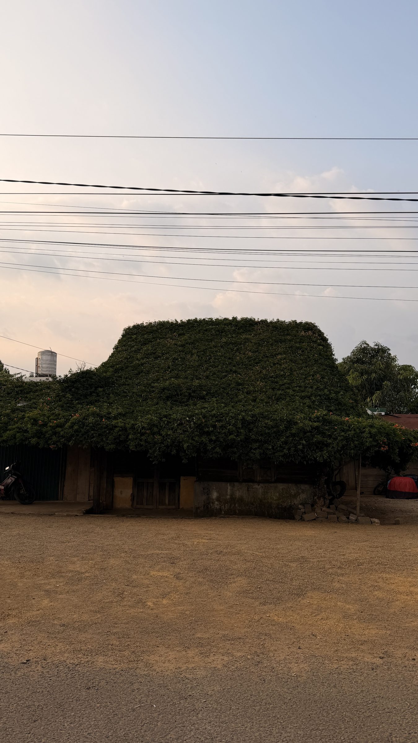 Cần Tách Nhỏ Bán đất 120m² full thổ cư ngang 6m Mặt Đường 8m Nhựa Liên Thôn Xã Lộc An