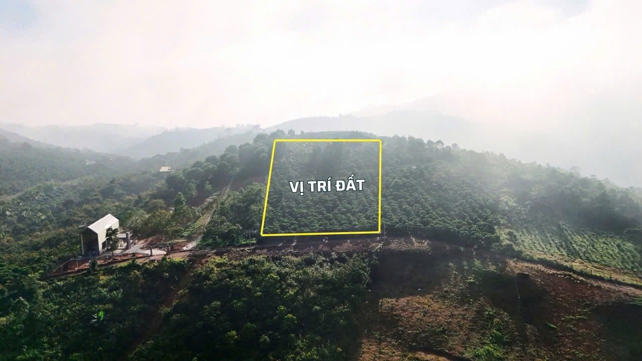 Bán đất 748m² có sẵn 93m² thổ cư ngang 9m giá 940 triệu tại Xã Bảo Lâm 3