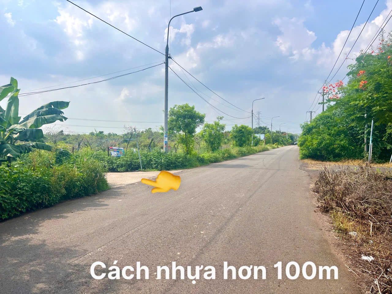 Đất Long Khánh- Đồng Nai mặt tiền gần 13m dt 500m2  đường bê tông kdc sẵn vườn trái cây giá chỉ 6xxtr